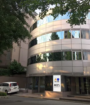 MEES International School